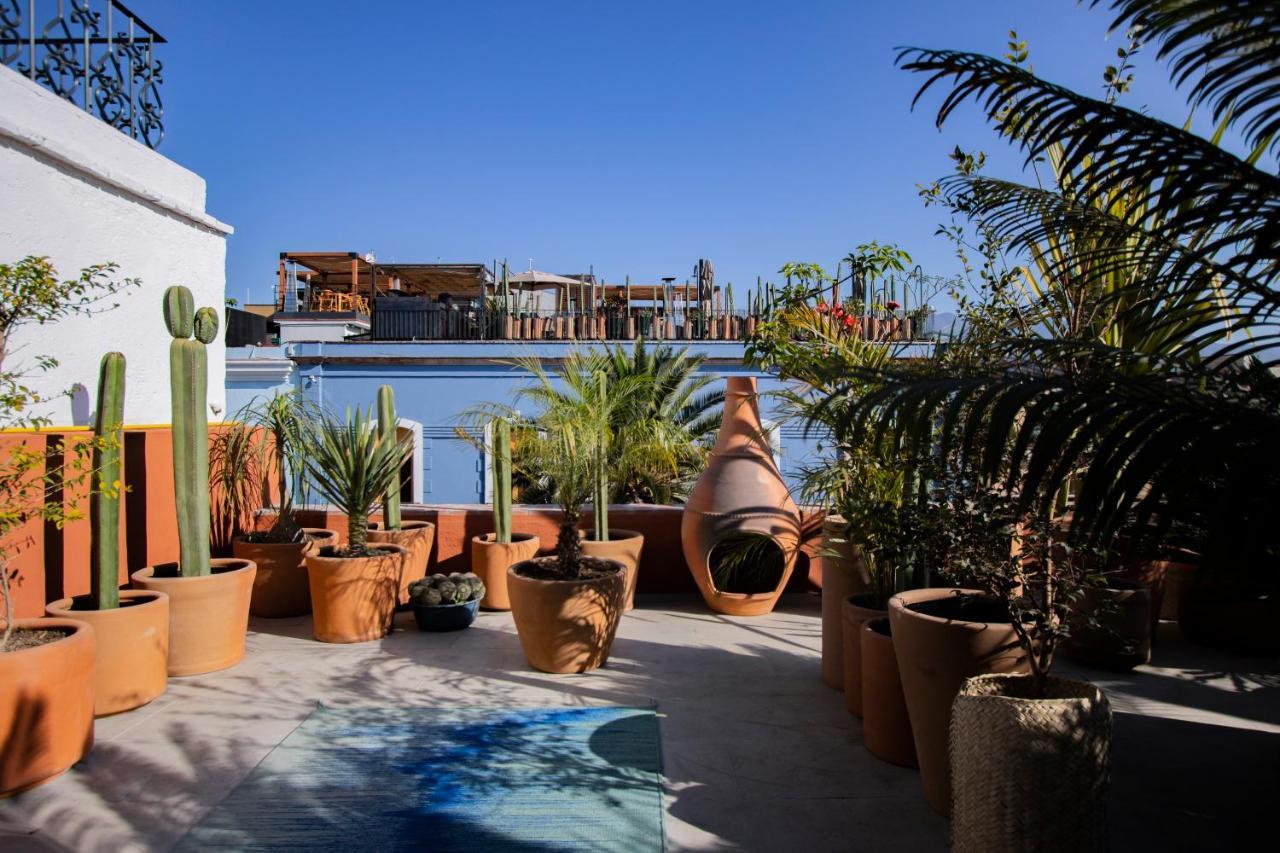 Hotel Los Amantes Oaxaca Dış mekan fotoğraf
