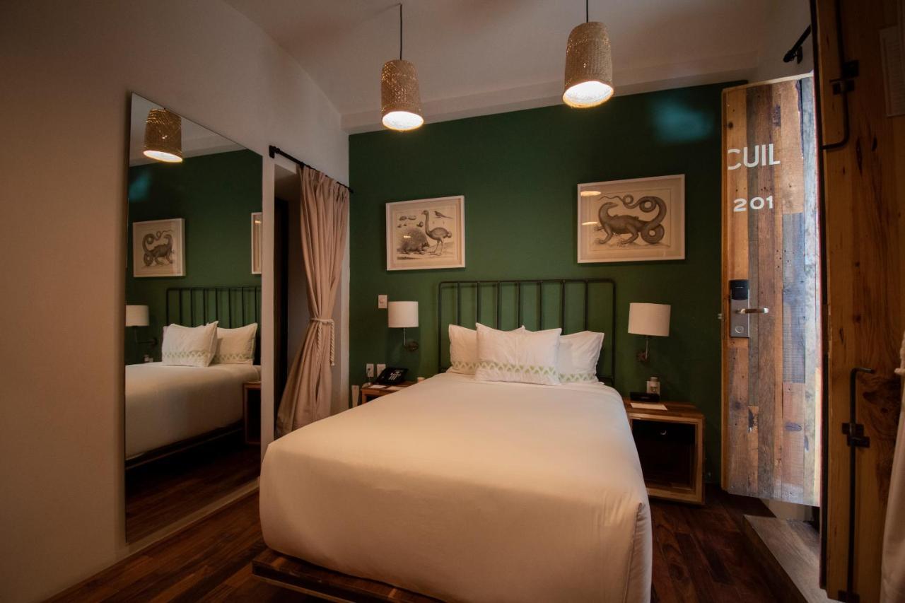 Hotel Los Amantes Oaxaca Dış mekan fotoğraf