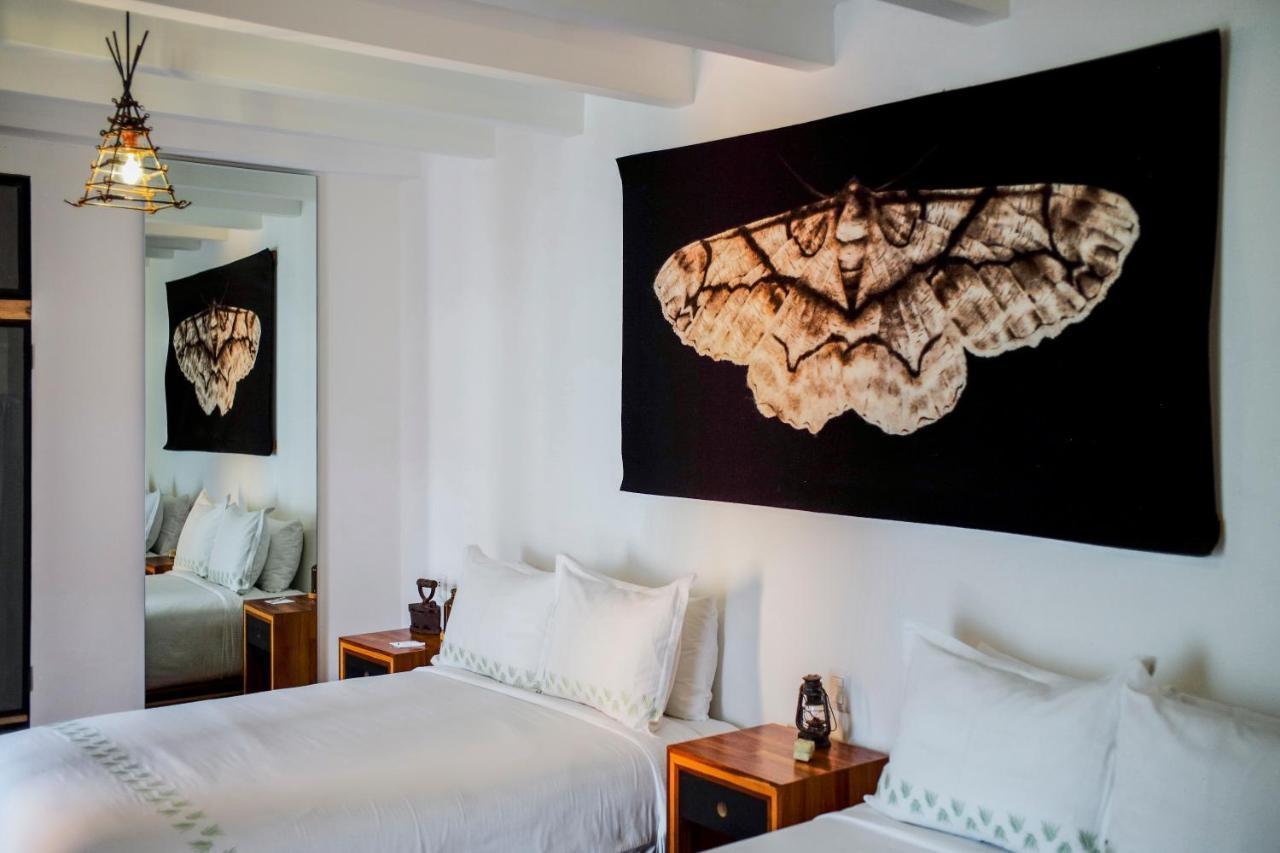 Hotel Los Amantes Oaxaca Dış mekan fotoğraf
