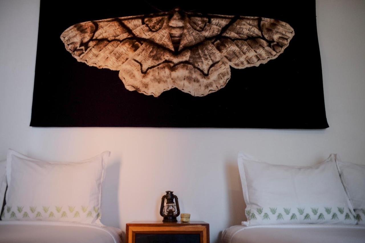 Hotel Los Amantes Oaxaca Dış mekan fotoğraf